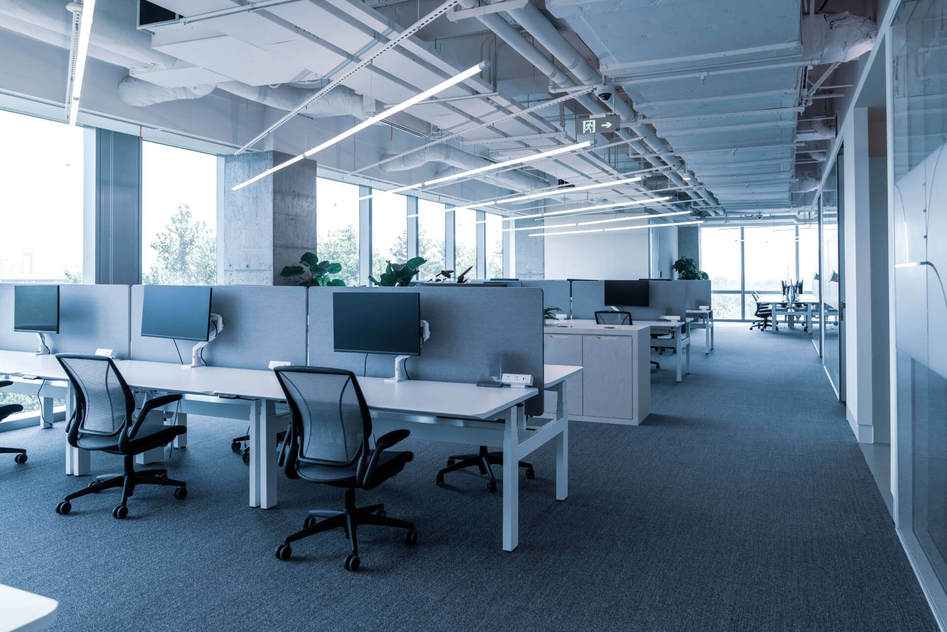 How to Maintain a Germ-Free Office During Flu Season