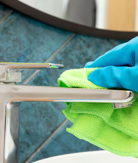 Mauris dignissim nec arcu vel fringilla. 